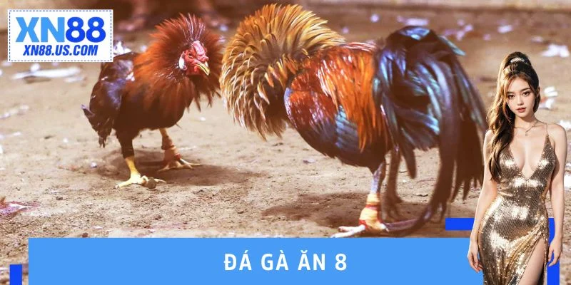 Đá Gà Ăn 8 - Chinh Phục Trận Đấu Trực Tuyến Với Giới Hạn Mới Đá Gà Ăn 8 - Chinh Phục Trận Đấu Trực Tuyến Với Giới Hạn Mới