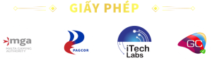 giấy phép nhà cái xn88
