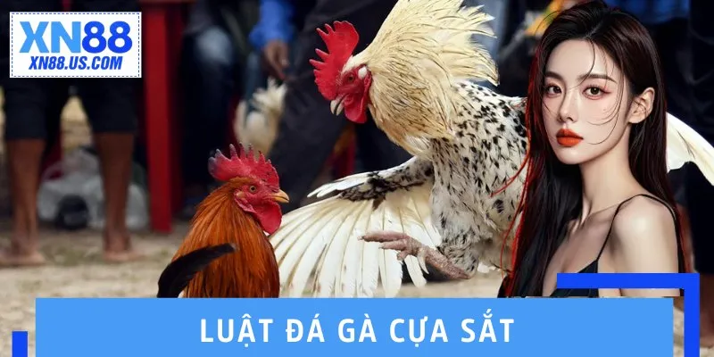 Luật Đá Gà Cựa Sắt – Nắm Chắc Quy Định, Thắng Cược Dễ Dàng Luật Đá Gà Cựa Sắt – Nắm Chắc Quy Định, Thắng Cược Dễ Dàng