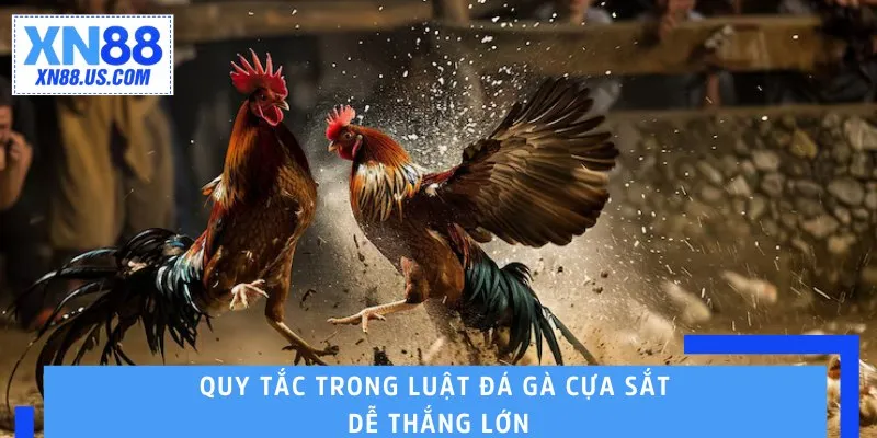 Quy tắc trong luật đá gà cựa sắt dễ thắng lớn Quy tắc trong luật đá gà cựa sắt dễ thắng lớn